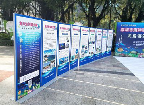 上犹KT板的种类和知识。